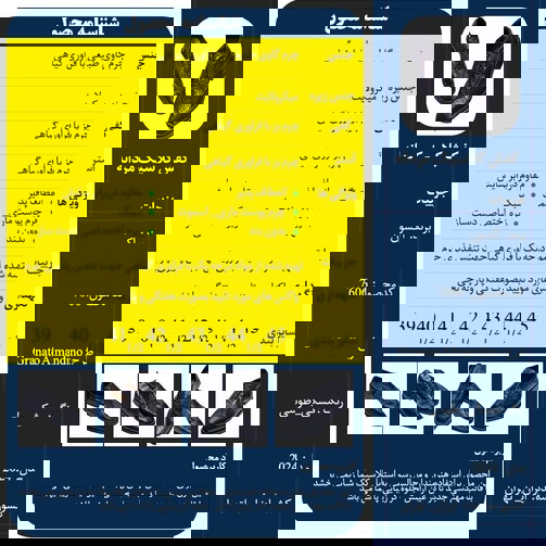 کفش چرم کلاسیک ادیم اکسون مدل گراناتو آلماندینو